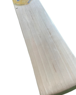 DSC BRAVADO 75 - Image 3