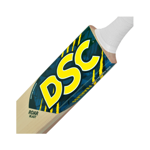 DSC ROAR BLAST