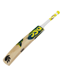 DSC ROAR BLAST - Image 1