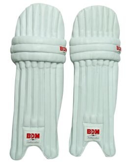 BDM AMBASSADOR - Image 2