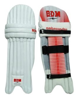 BDM AMBASSADOR