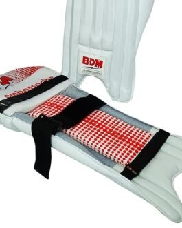 BDM AMBASSADOR - Image 3