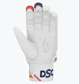 DSC ATTITUDE - Image 3
