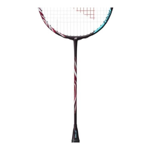 ASTROX 100 GAME